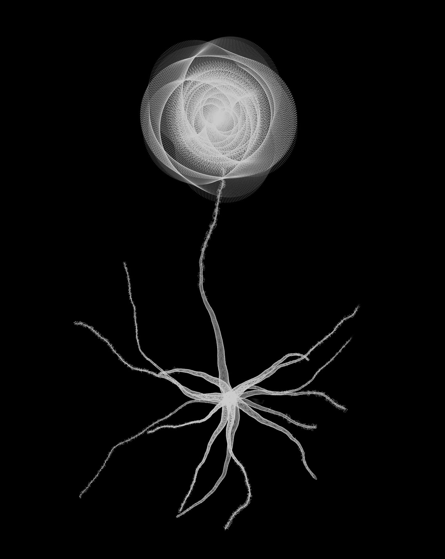 Organic Cotton Alien Rose T-Shirt