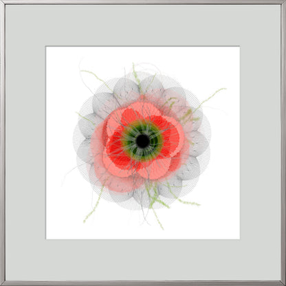 Other Flower I, Limited Edition Print